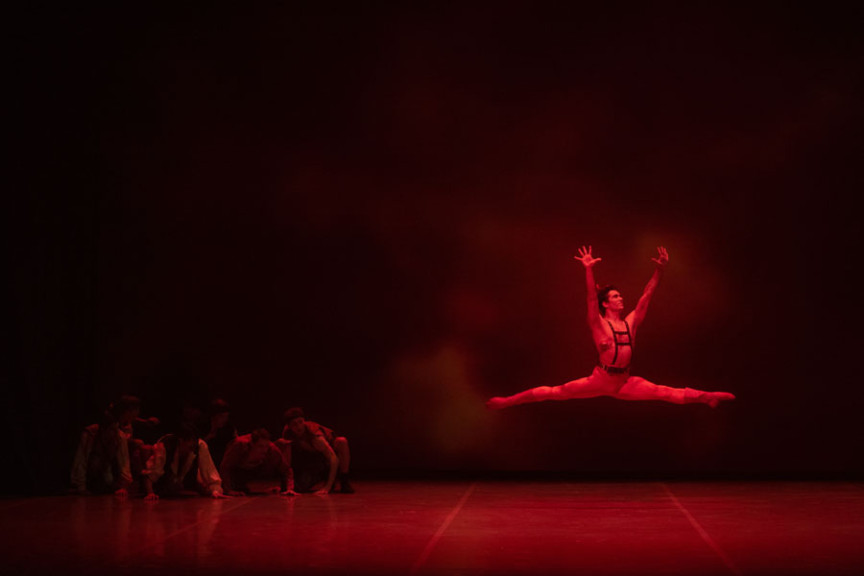 Foto: SNG Opera in balet Ljubljana / Darja Štravs Tisu