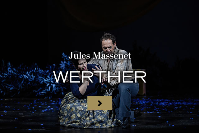 Werther mobi slo in ang